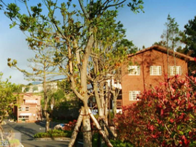 Arbon Youth Hostel & Resort Jeju Exterior foto